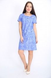 ������ �0919 �� ��������  (�������, 100% ������)