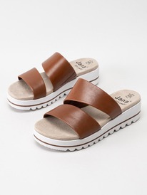 ���� ���������� JANA 36 �-� ����������� ����