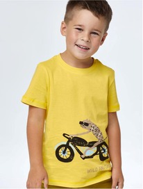 �������� ��� �������� �.110