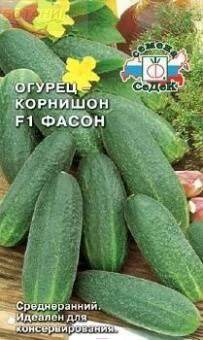 ������ ����� F1