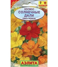 ������ ������ ��������� ����