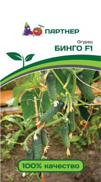 ������ ����� F1