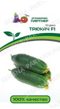 ������ ������ F1