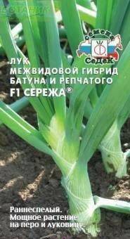 ��� ����� ������