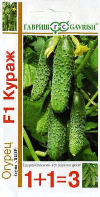 ������ ����� F1 1+1