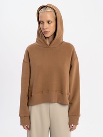 ��������� � ���������