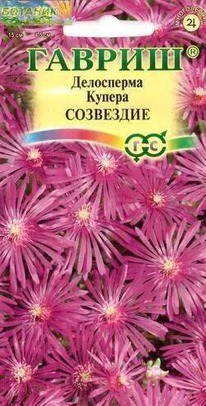 ���������� ������ ���������