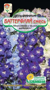 ���������� ����� ����������