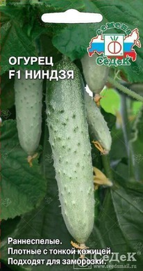 ������ ������ F1