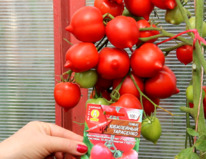 ��������� ��������� �����