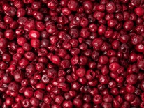 ����� ��� �������� ����� � ������������