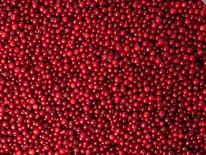 �������� �����������������