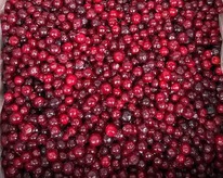 ������ ������ ������������