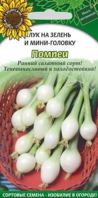 ��� ������ �� ������ � ���� �������