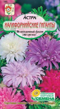 ����� �������������� �������