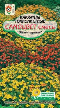 �������� �������� ������������