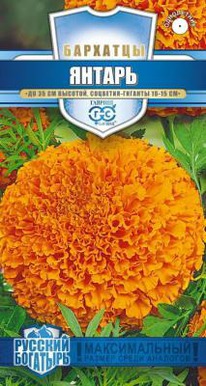 �������� ������