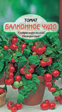 ����� ��������� ����  �/�