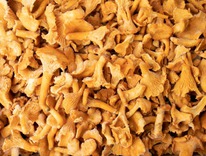 ������� ����� ������� ��������� �����������������