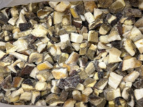 ����� ����� ����� ������������