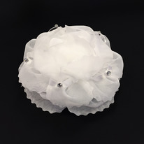 ���� ������  12��