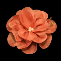 ���� ��� 10��