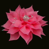 ������! ���� ������� 23��