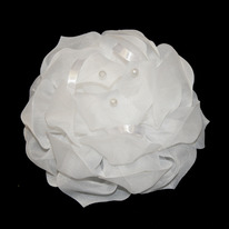 ���� ��������� 13 (14��)