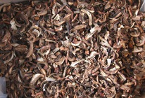 ������! ������������ ������� (������� ���������)