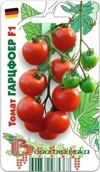 ����� �������� F1