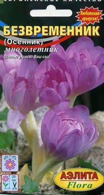 ������������ (�������) �������� ������