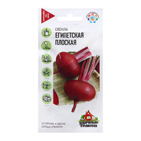 ������ ���������� �������