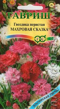 �������� ������,����� �������� �������� �� 25��