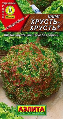 ������-������ ����� ��������