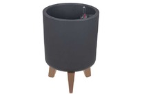 ������������ ����� ������� 11 � � �����������