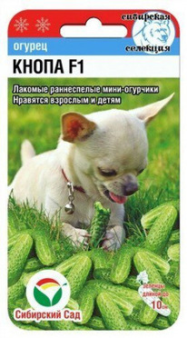 ������ �����  F1