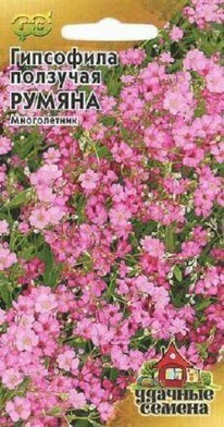 ��������� ������ ������� �����������