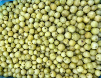 ��������� ������������