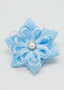 �������� ���� ��������  �������