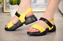 ������� ������� �.39(25��) ���.���� Perfect