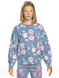 Pelican _ ��������� ��� ������� GFN4135/1