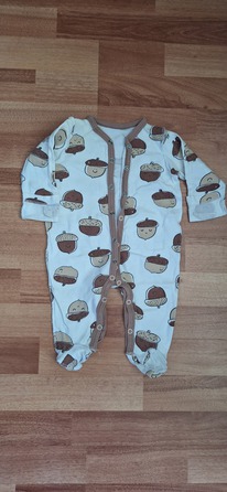 ���������� 62