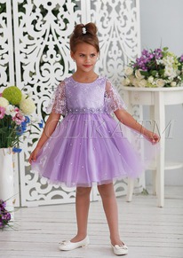 ������� ������ �������� ����� �������: 116