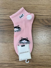 �����, 1 ����