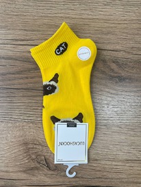 �����, 1 ����