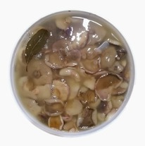 ������� ������������ ������� ��������