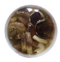 ������������ ������ ������������ ������ (�����, ������ �� 6-9 ��)