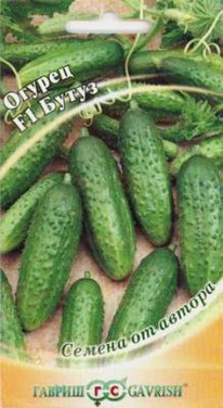 ����� F1 10 �� ������ ��������